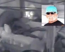 Halka Hogana skandalozais SEX video
